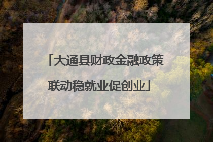 大通县财政金融政策联动稳就业促创业